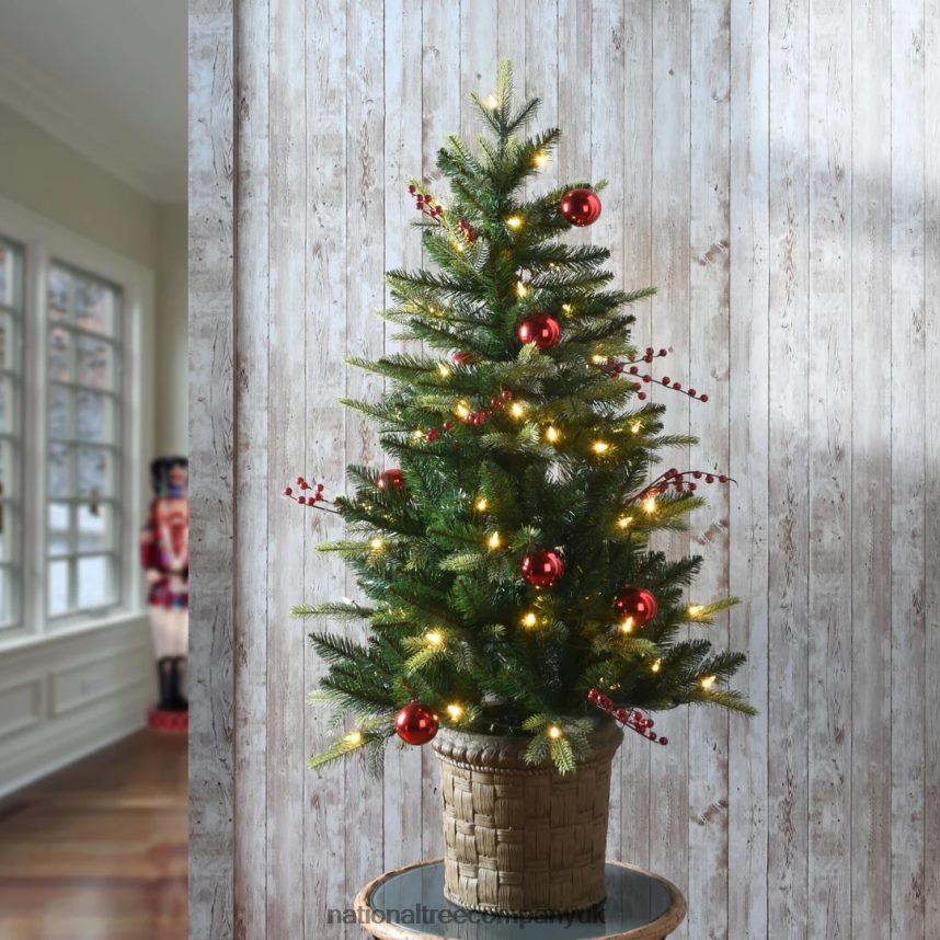 Trees | National Tree Company Pre-Lit Artificial Christmas Entrance Tree Scotch Creek Fir with Warm White LED Lights Plug in 4 ft F2L4F94